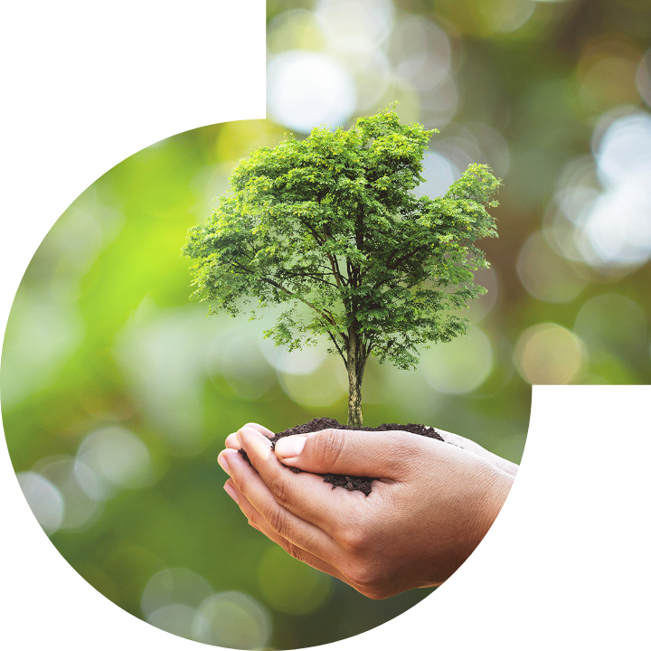 关怀人类、文化、环境与社会